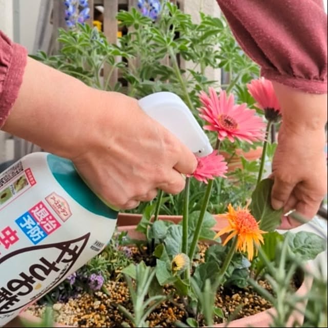 mi-saさんの実例写真