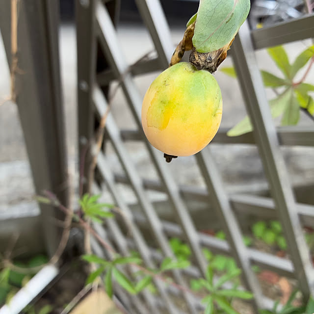 ayayayayaさんの部屋