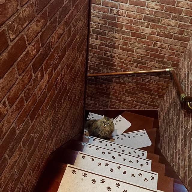 butachanさんの実例写真