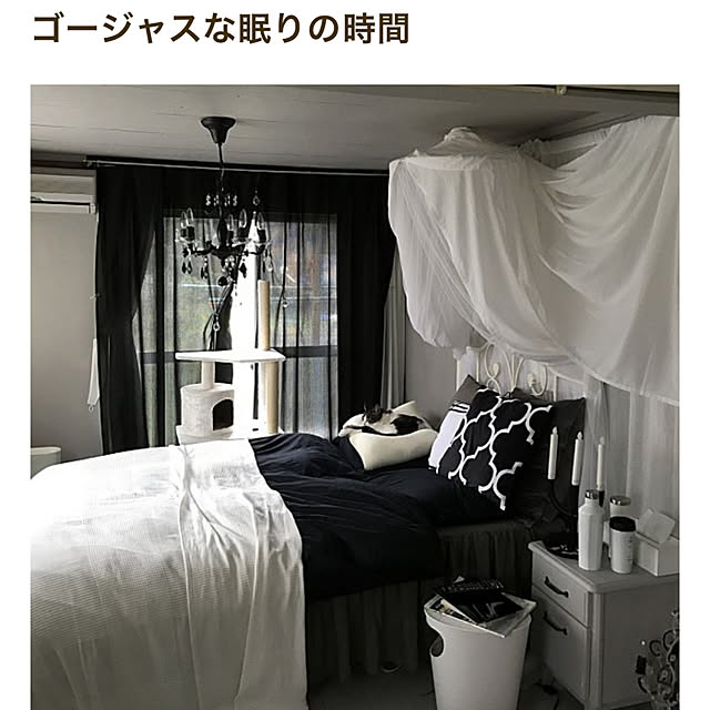 Shihoさんの実例写真