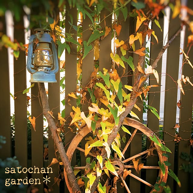 satochanさんの実例写真