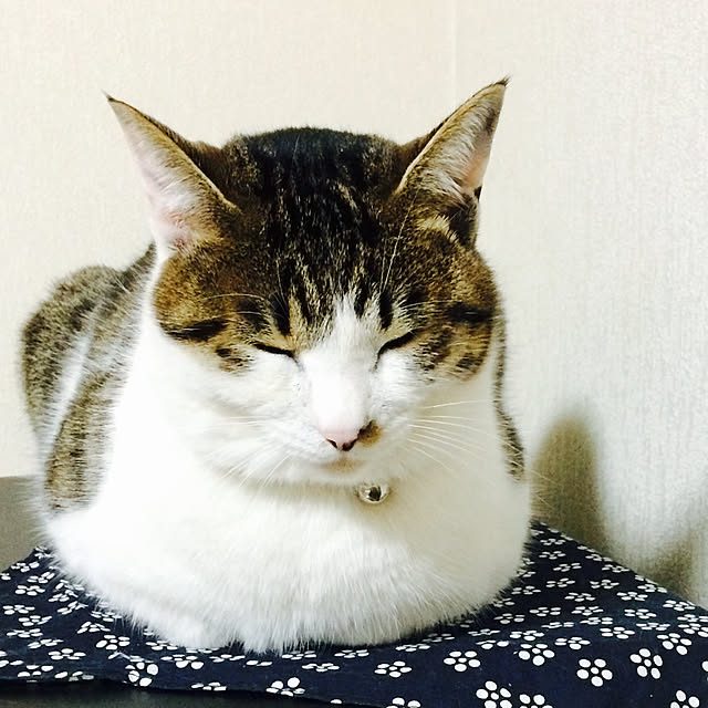 kouchanmamaさんの実例写真