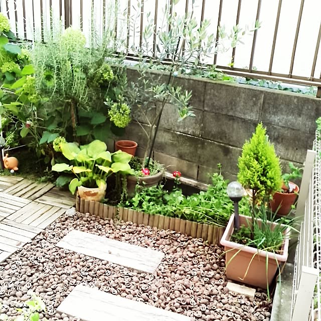 mintさんの実例写真
