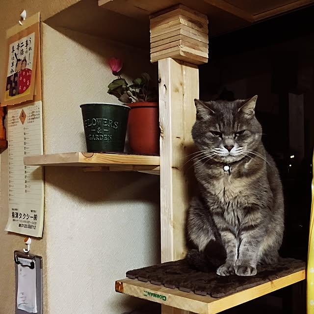 kmakkyiさんの実例写真