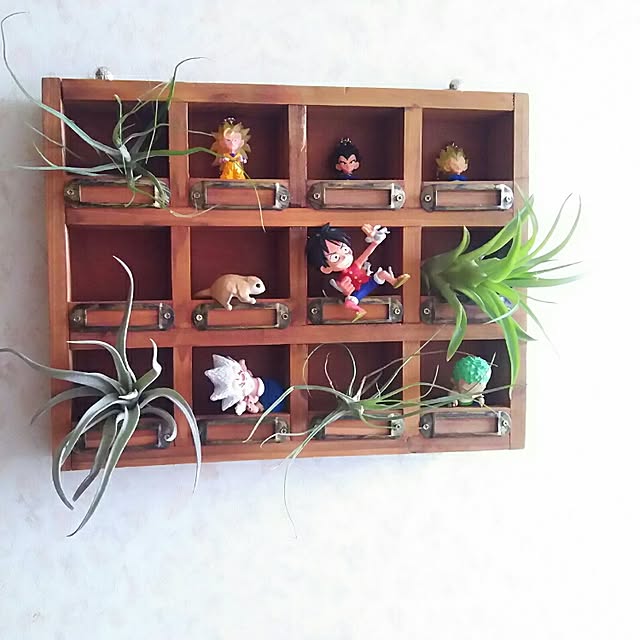 バス/トイレ/グリーンのある暮らし/植物/エアプランツ/雑貨のインテリア実例 - 2017-06-19 12:55:25