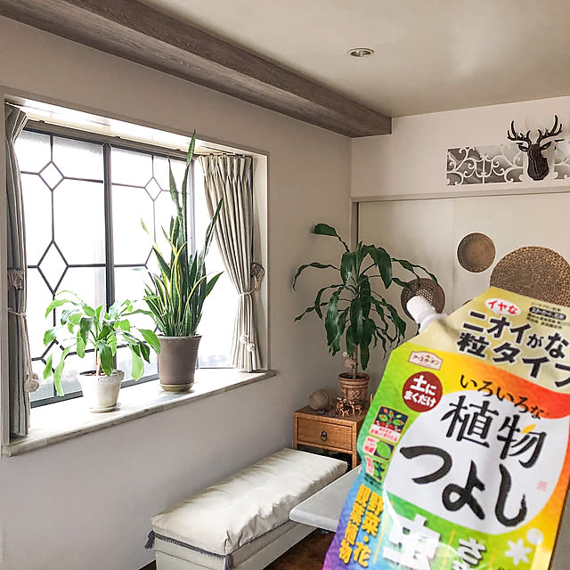 KirinPandaさんの部屋