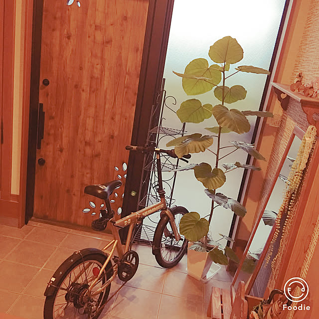 tree_houseさんの実例写真