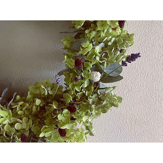 marucoさんの部屋