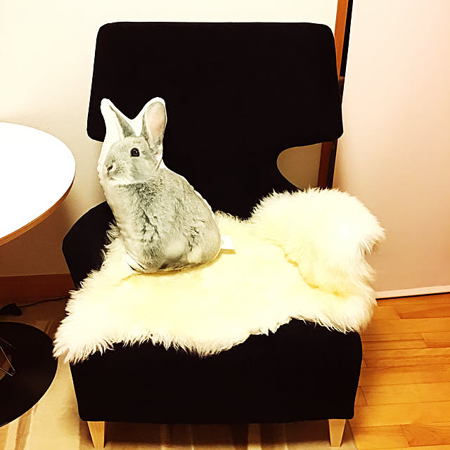 Upalaさんの実例写真