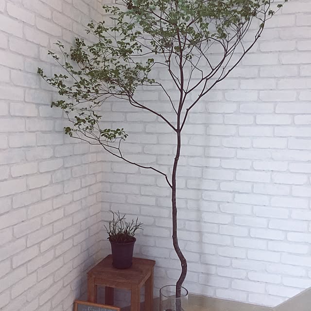 hinaさんの実例写真