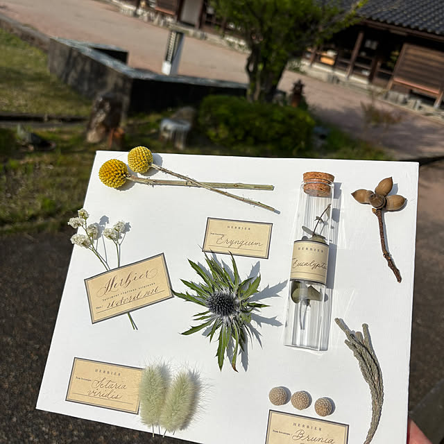 t_n.homeさんの部屋