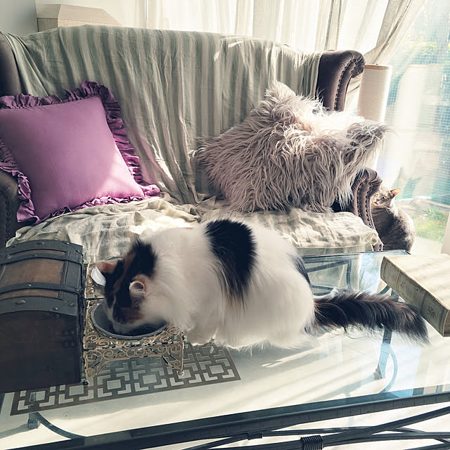 siberinnさんの実例写真