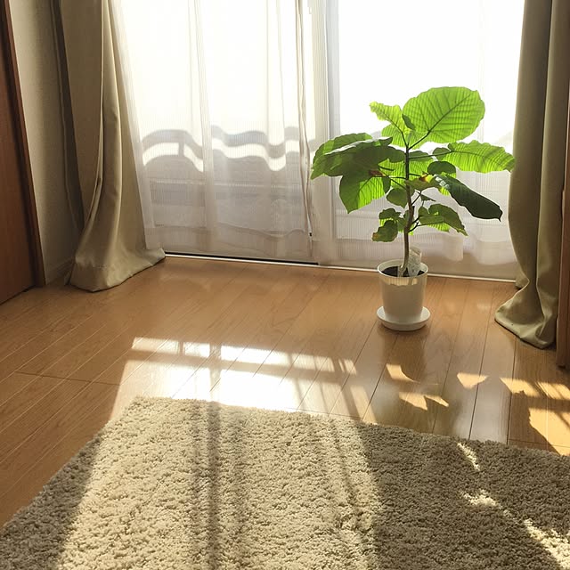 horicoさんの実例写真