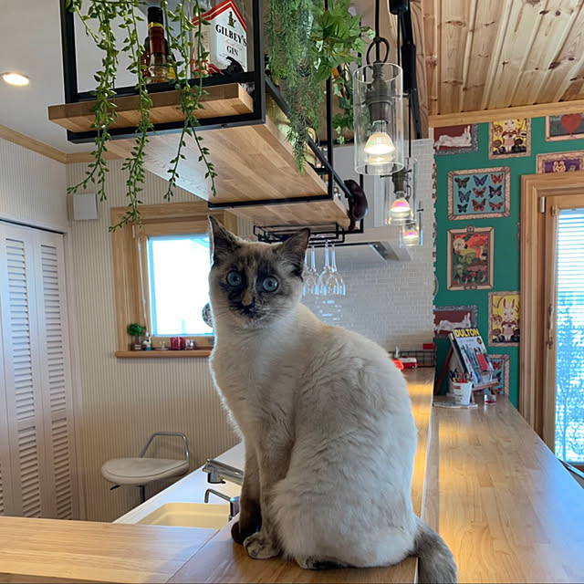 Moricさんの実例写真