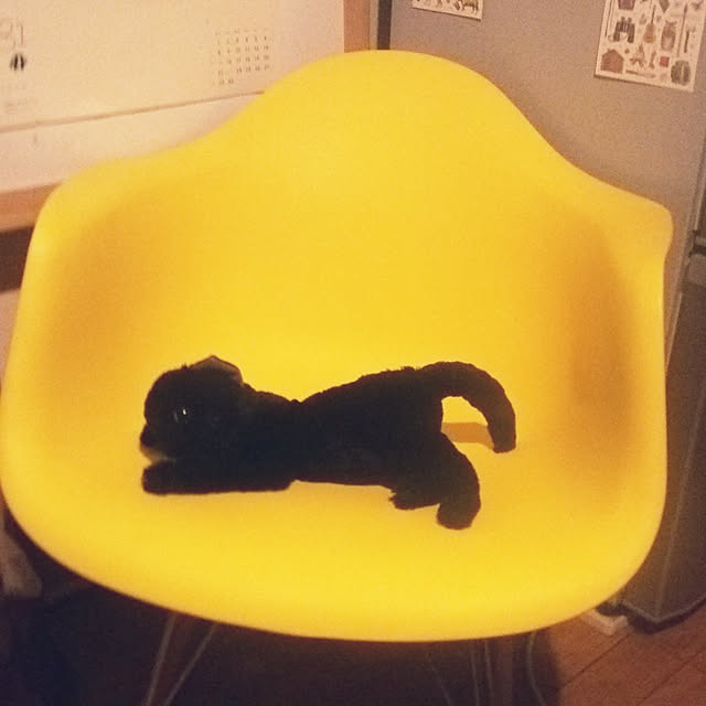 lotusさんの実例写真