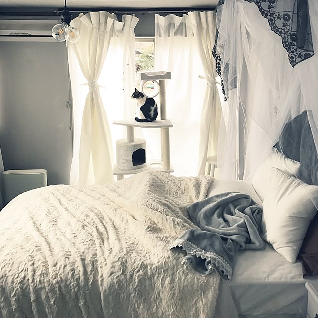 Shihoさんの実例写真
