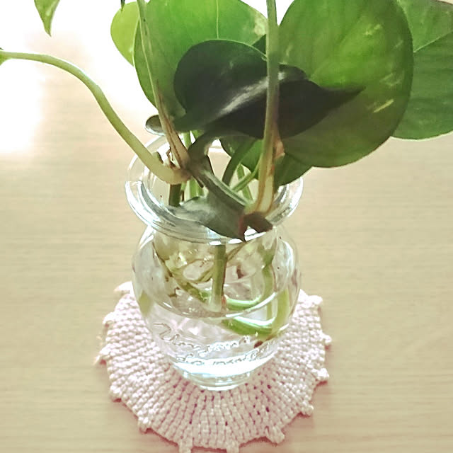机/観葉植物のインテリア実例 - 2021-05-29 20:23:12