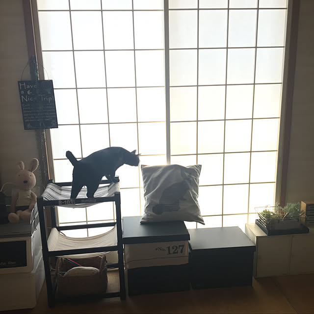 mahi1101さんの実例写真