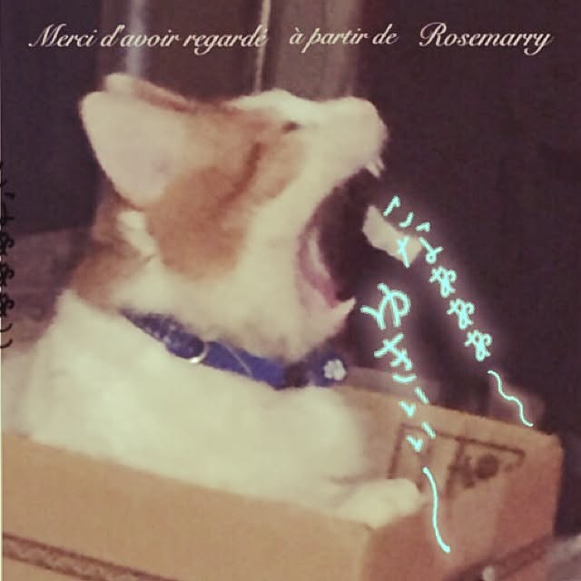maria.rさんの実例写真