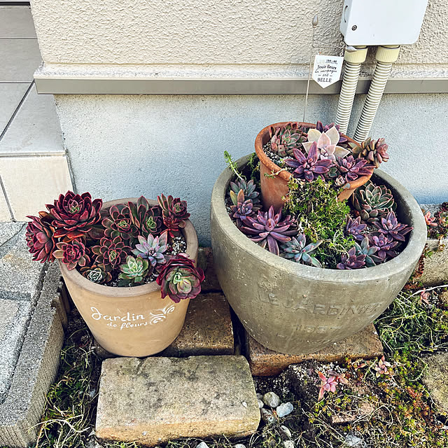 pekoさんの実例写真