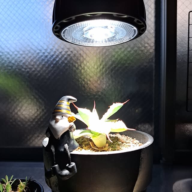 noaさんの部屋
