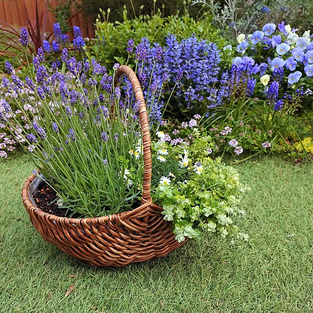 coconathuさんの実例写真