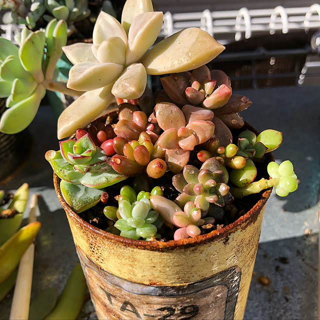 tinkさんの実例写真
