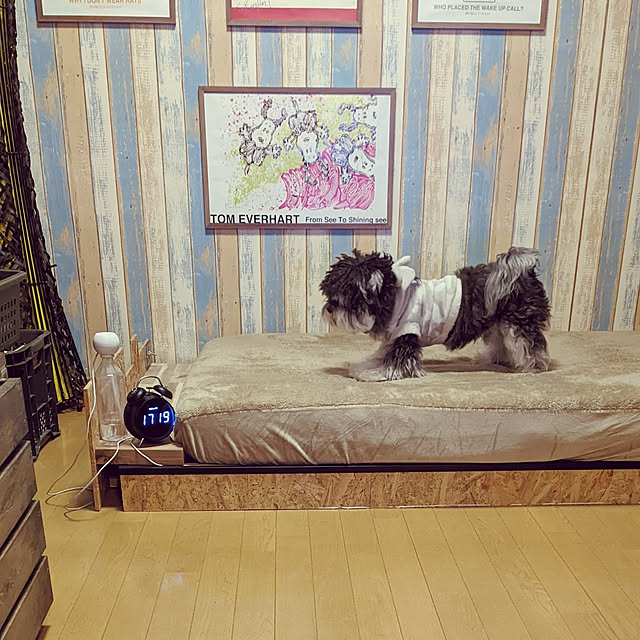 GINさんの実例写真