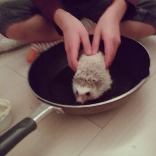 kuruさんの実例写真