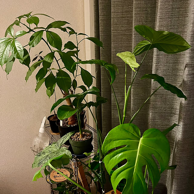 petapo1256さんの部屋