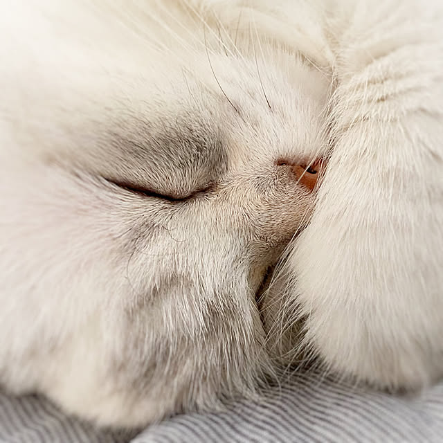luna.comさんの部屋