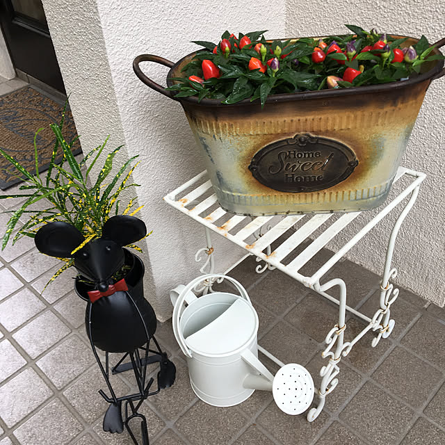 akkoさんの実例写真