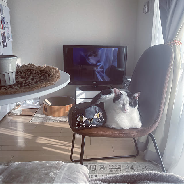 chachaさんの実例写真