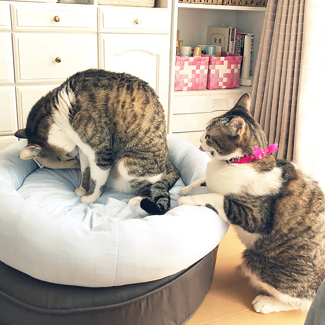 nnmmさんの実例写真