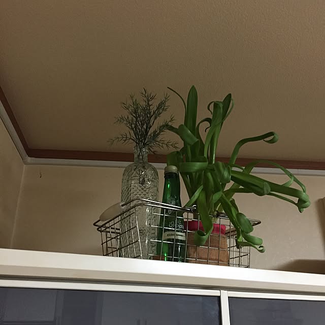 haruさんの実例写真