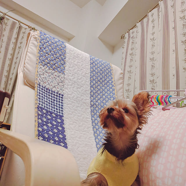 keikomokonさんの実例写真