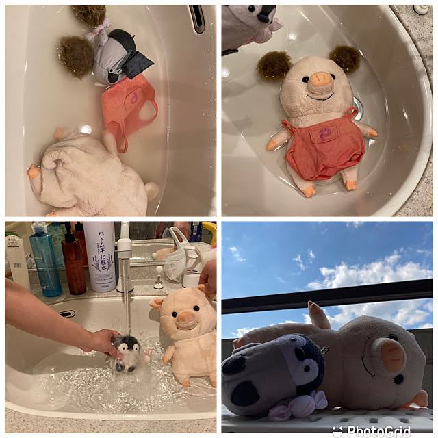 masaさんの実例写真