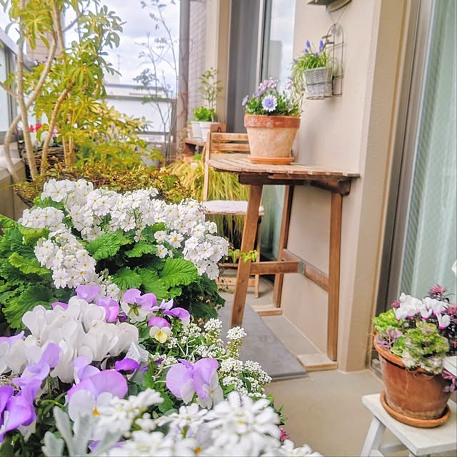 YuriYuriさんの部屋