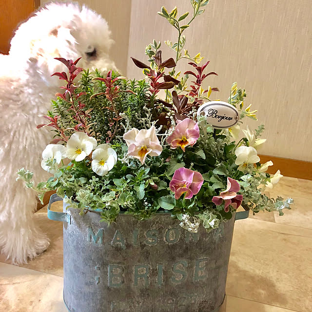 kurumeruさんの実例写真
