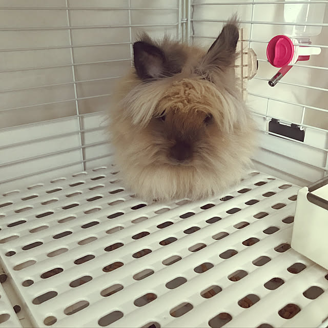mさんの実例写真