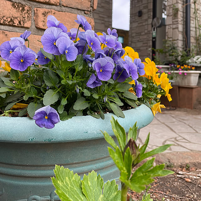 natsumiさんの部屋