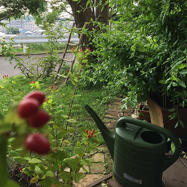 satochanさんの実例写真