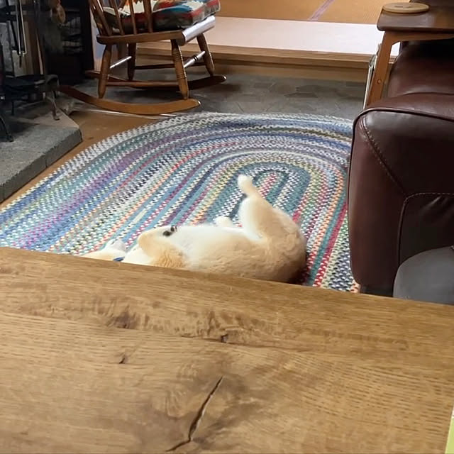midoさんの実例写真