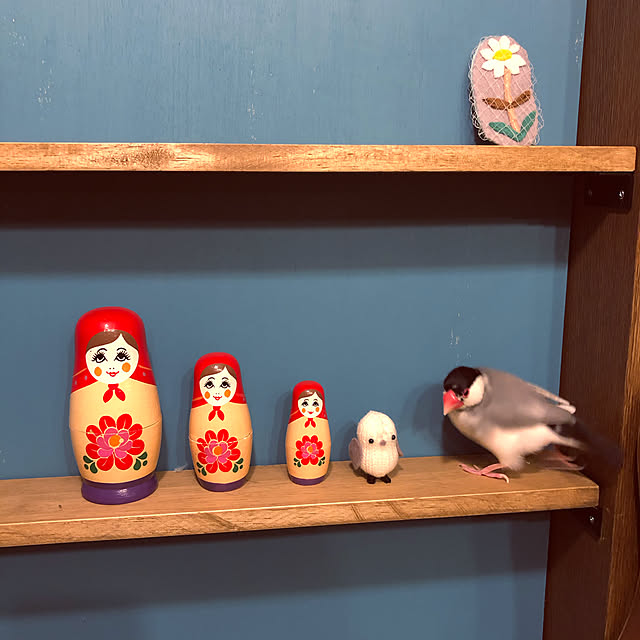 soramameさんの実例写真