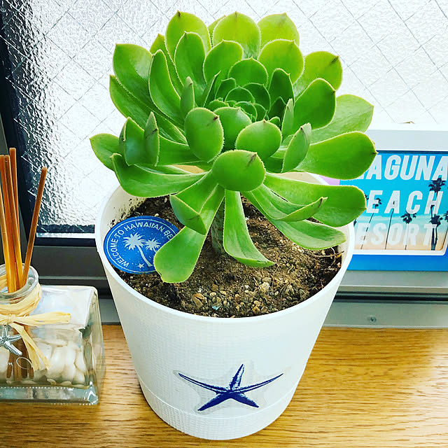 kanamiさんの実例写真