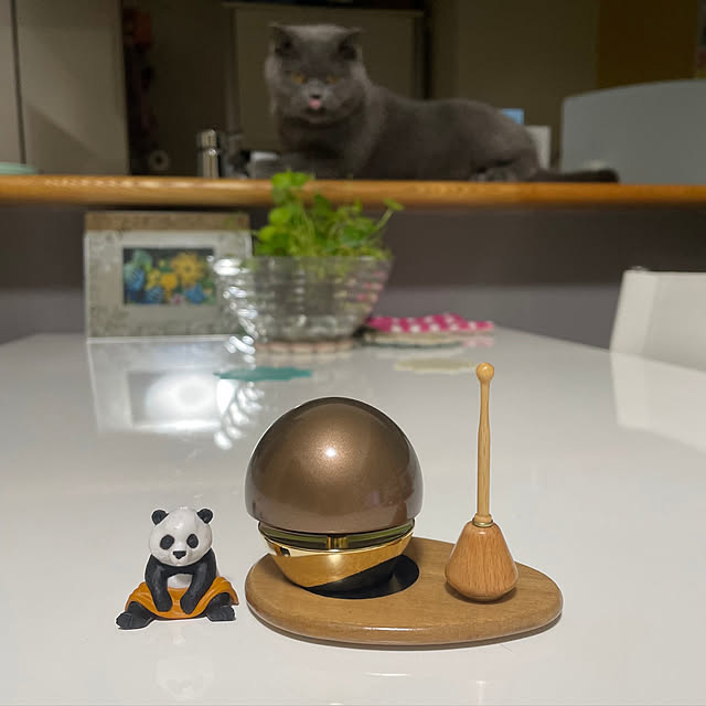 kittyさんの実例写真