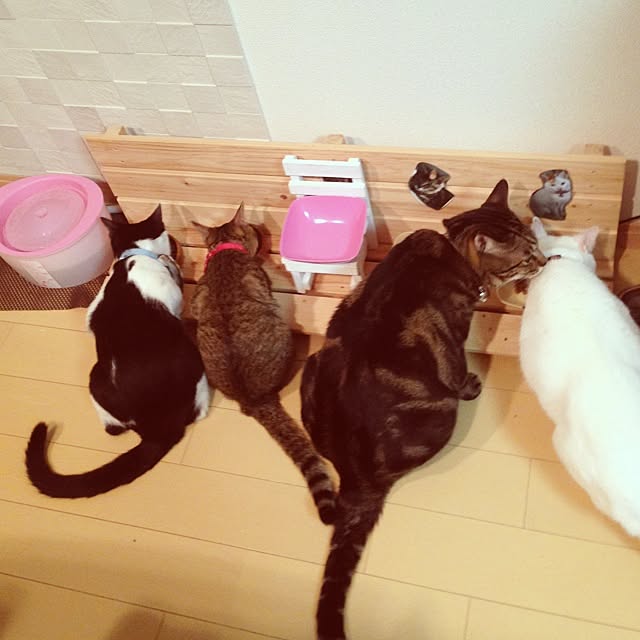 konatsuさんの実例写真