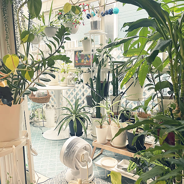 kanakoさんの部屋