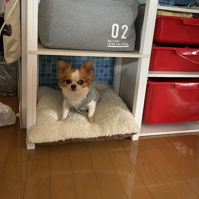 momoさんの実例写真