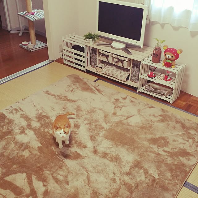 meruさんの実例写真